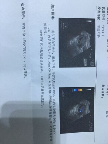 journal_insert_pic_391018116