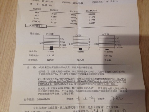 journal_insert_pic_391152001