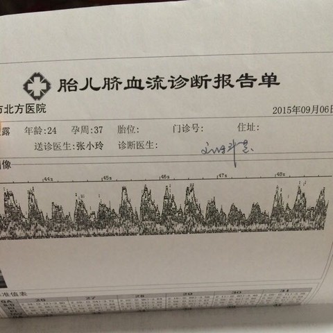 journal_insert_pic_391185021