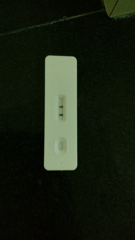 journal_insert_pic_391543158