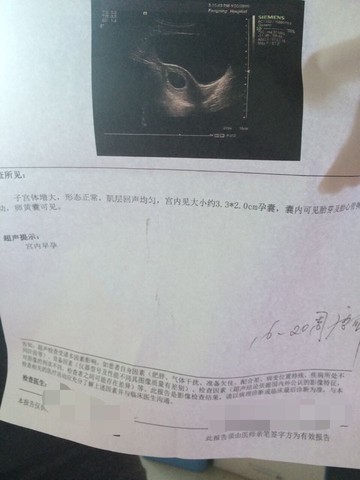 journal_insert_pic_391553596