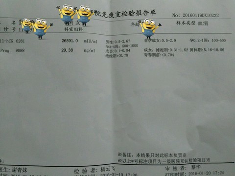 journal_insert_pic_391638022