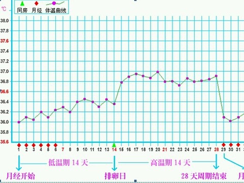 排卵期体温具体怎麼看!请懂的宝妈回复一下!谢谢!