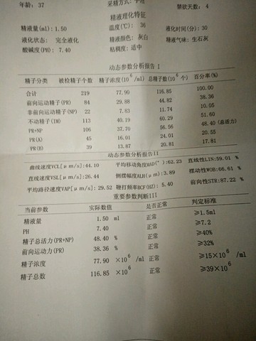journal_insert_pic_392325040