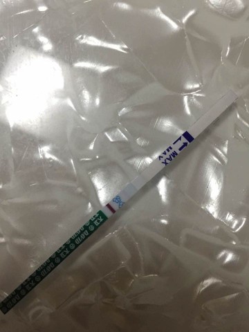 journal_insert_pic_392264732