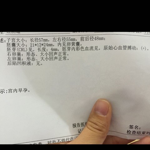 journal_insert_pic_392569318