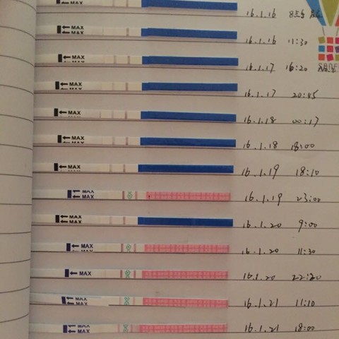 journal_insert_pic_393284814