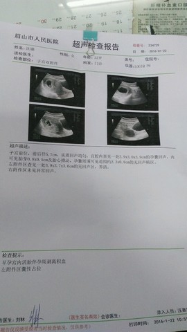 journal_insert_pic_393325931