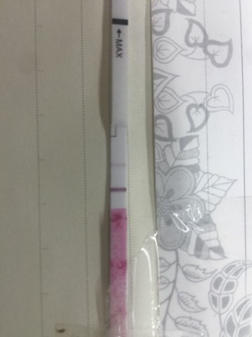 journal_insert_pic_393440010