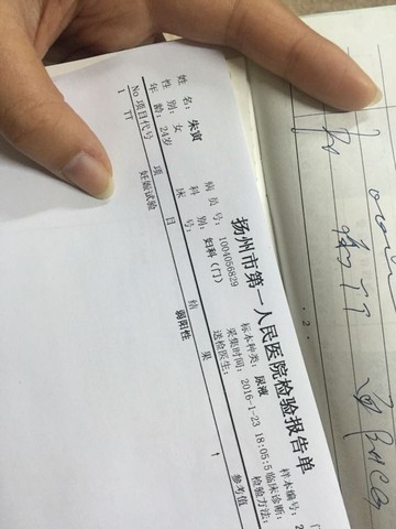 journal_insert_pic_393613200
