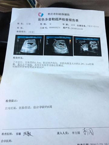 journal_insert_pic_394595607