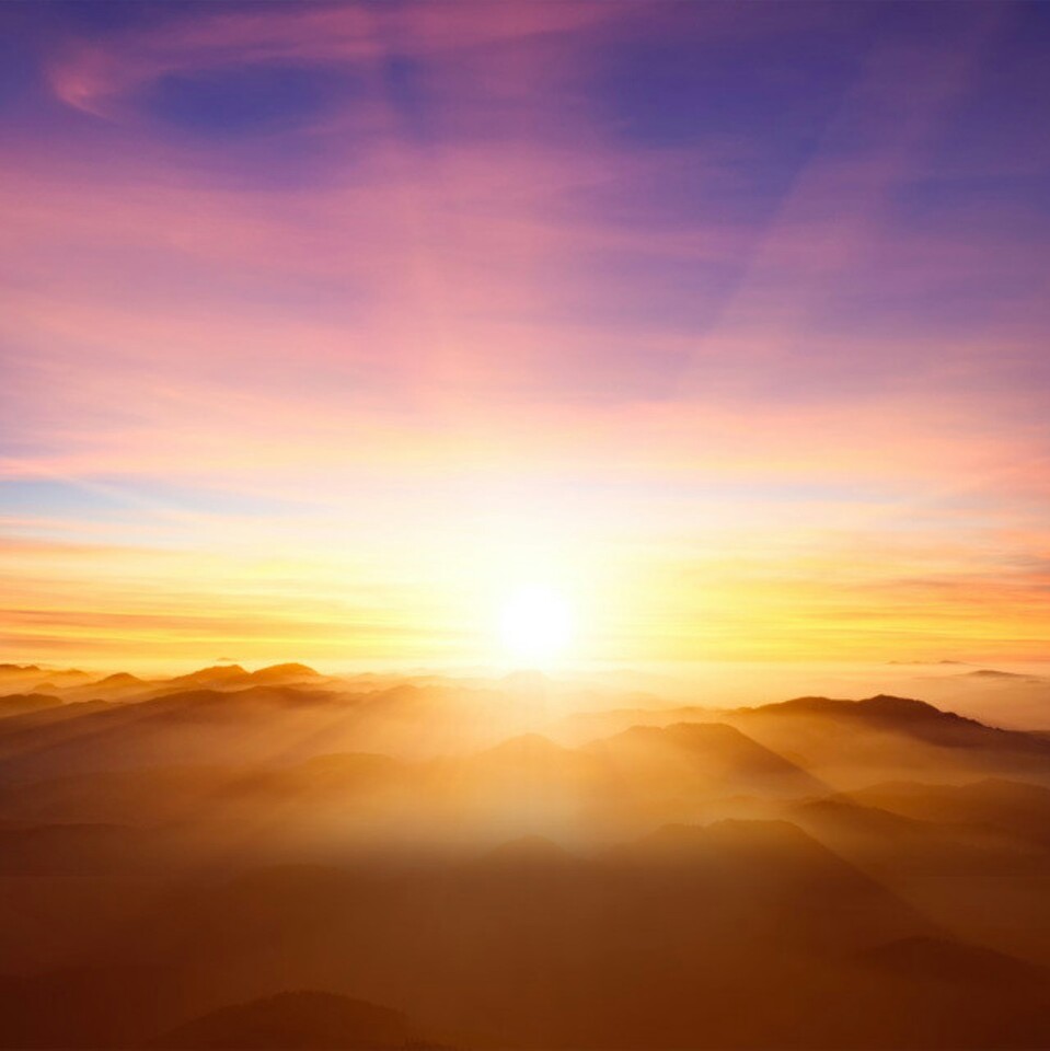 呸贱人就是矫情               暂时没有内容