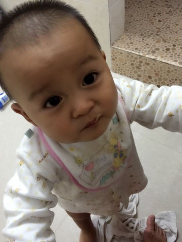 journal_insert_pic_395347964