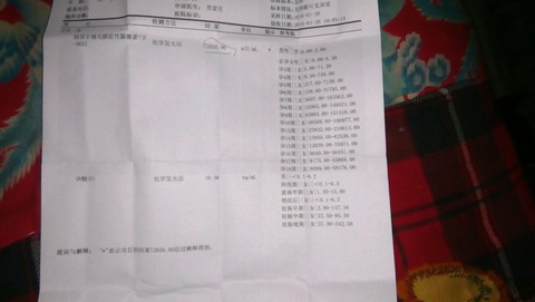 journal_insert_pic_395898621