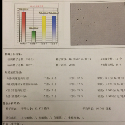 journal_insert_pic_396580469