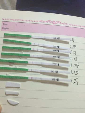 journal_insert_pic_396103332