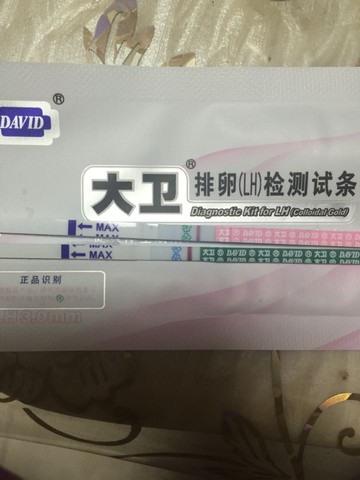 journal_insert_pic_398701093