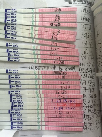 journal_insert_pic_399268556