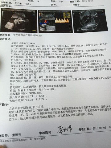 journal_insert_pic_399094544