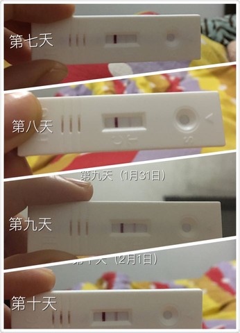 journal_insert_pic_398894751