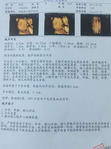 journal_insert_pic_399548979