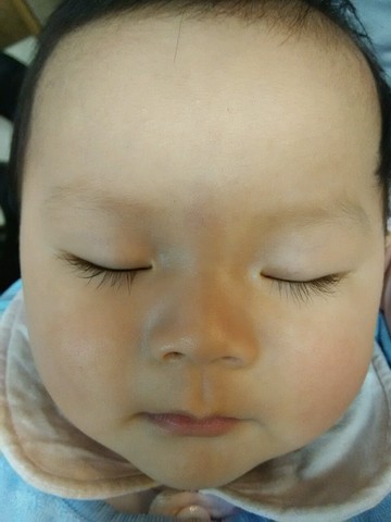 journal_insert_pic_400762943