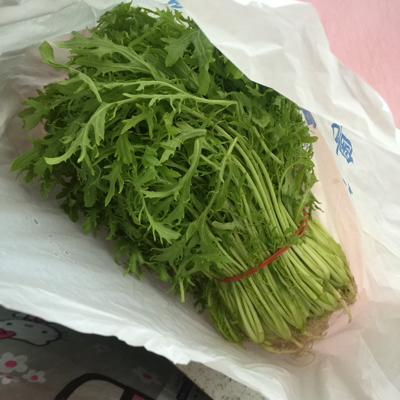 孕妇能吃金丝菜吗?