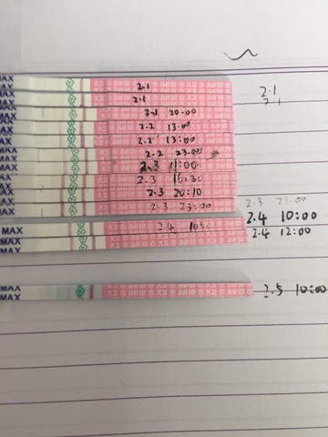 journal_insert_pic_400939749