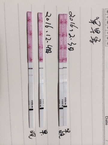 journal_insert_pic_400896537