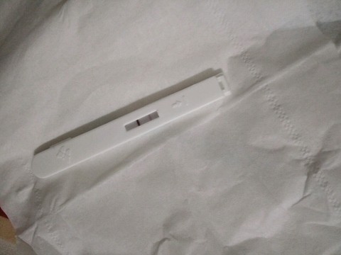 journal_insert_pic_403239896