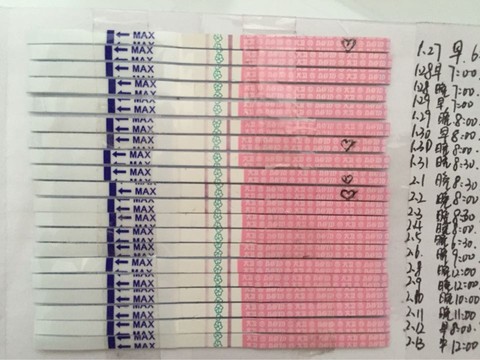 journal_insert_pic_404936973
