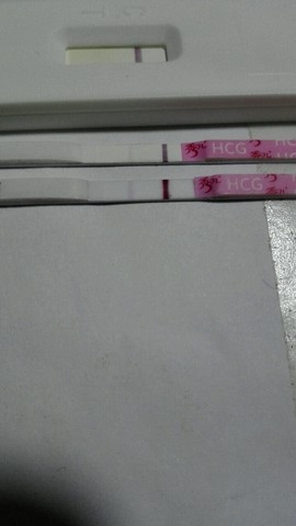 journal_insert_pic_406324411