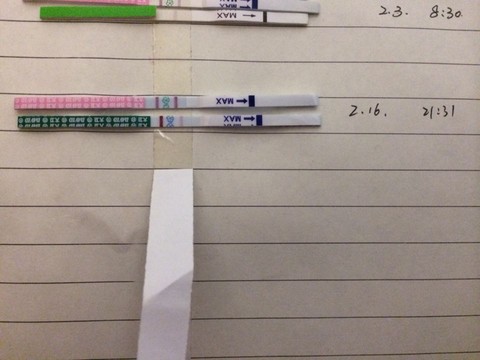 journal_insert_pic_407144574