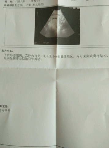 journal_insert_pic_407583634