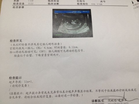 journal_insert_pic_408350732