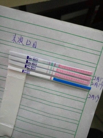 journal_insert_pic_408930823