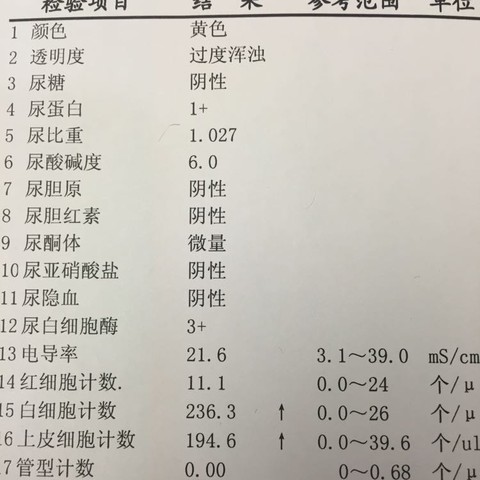 journal_insert_pic_408849302