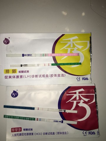 journal_insert_pic_409810243