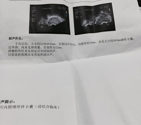 journal_insert_pic_410990051