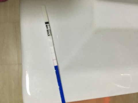 journal_insert_pic_411270635