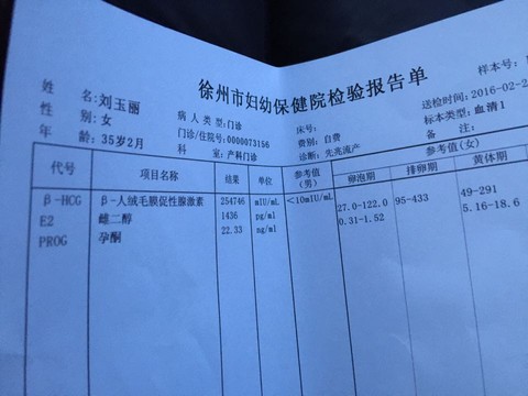 journal_insert_pic_411669327