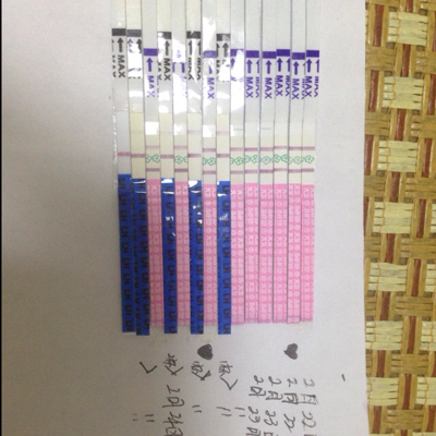 journal_insert_pic_412314015