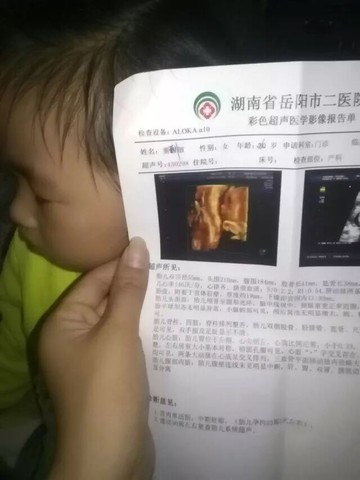 journal_insert_pic_412363229