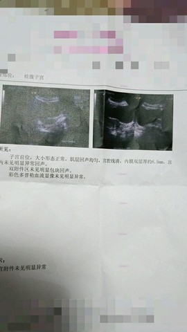 journal_insert_pic_413850545