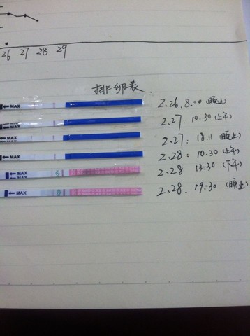 journal_insert_pic_415204658