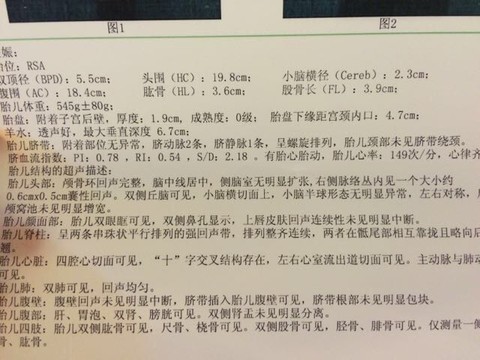 journal_insert_pic_415213710