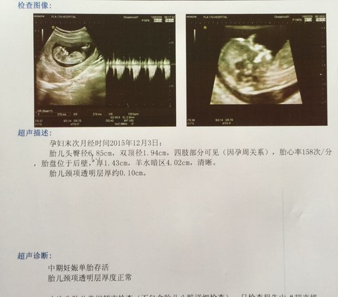 journal_insert_pic_415581002