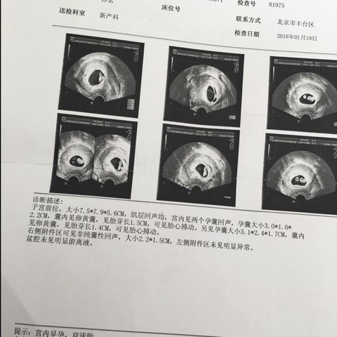 journal_insert_pic_415585730