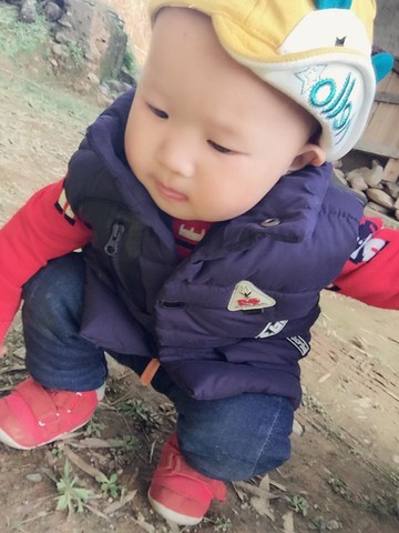 journal_insert_pic_415723971