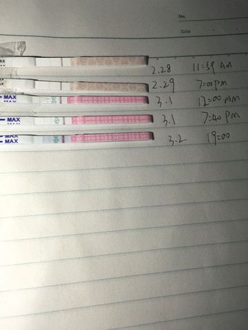 journal_insert_pic_417351527